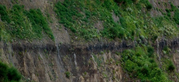 Ignimbrite Campana a Procida